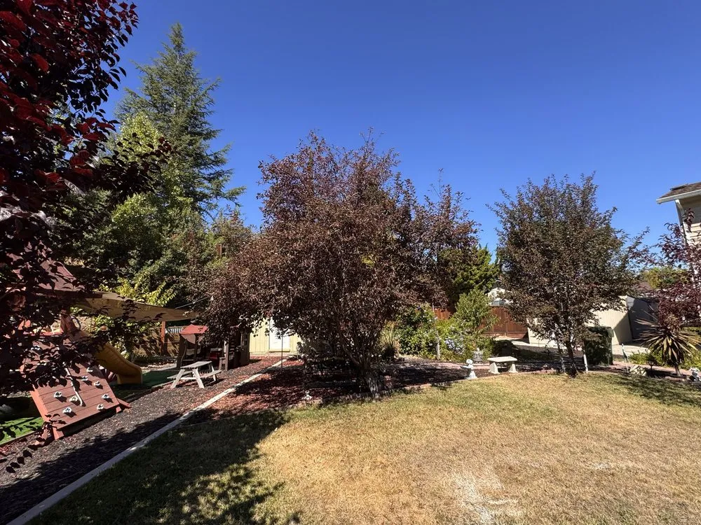 Custom landscape design for outdoor upgrades in Campbell, CA by Rico Landscape