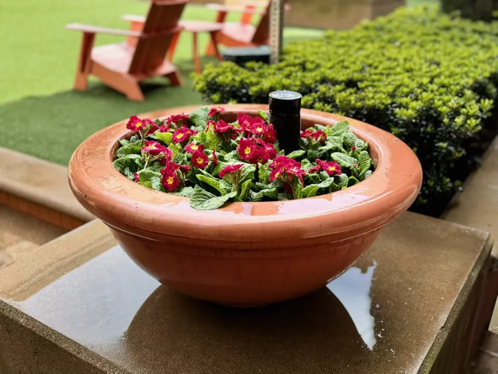 Trusted lawn mowing service for beautiful yards across Campbell, CA - Rico Landscape