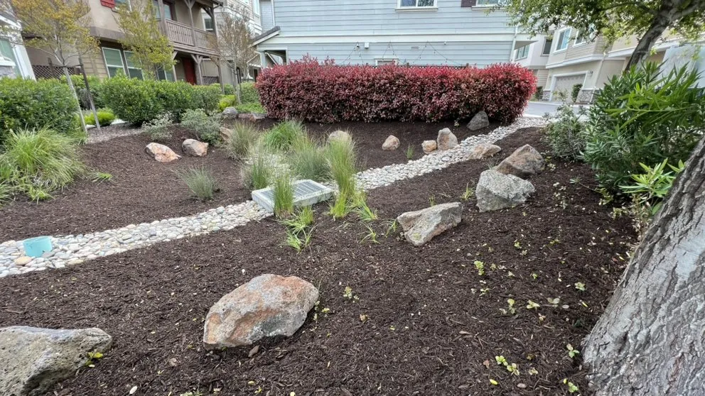 Professional lawn mowing service for homes in Campbell, CA by Rico Landscape