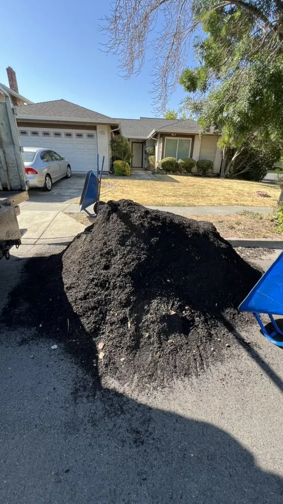 Local outdoor landscaping in Campbell, CA by Rico Landscape