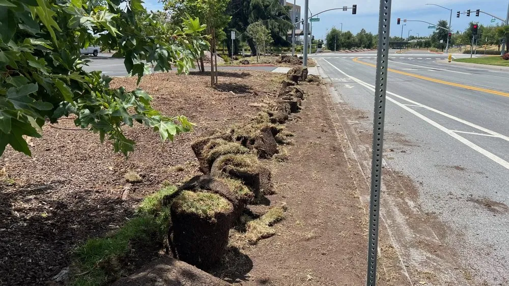 Top-rated landscape installation in Campbell, CA - Rico Landscape