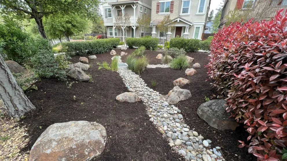 Professional landscaping services experts serving Campbell, CA - Rico Landscape