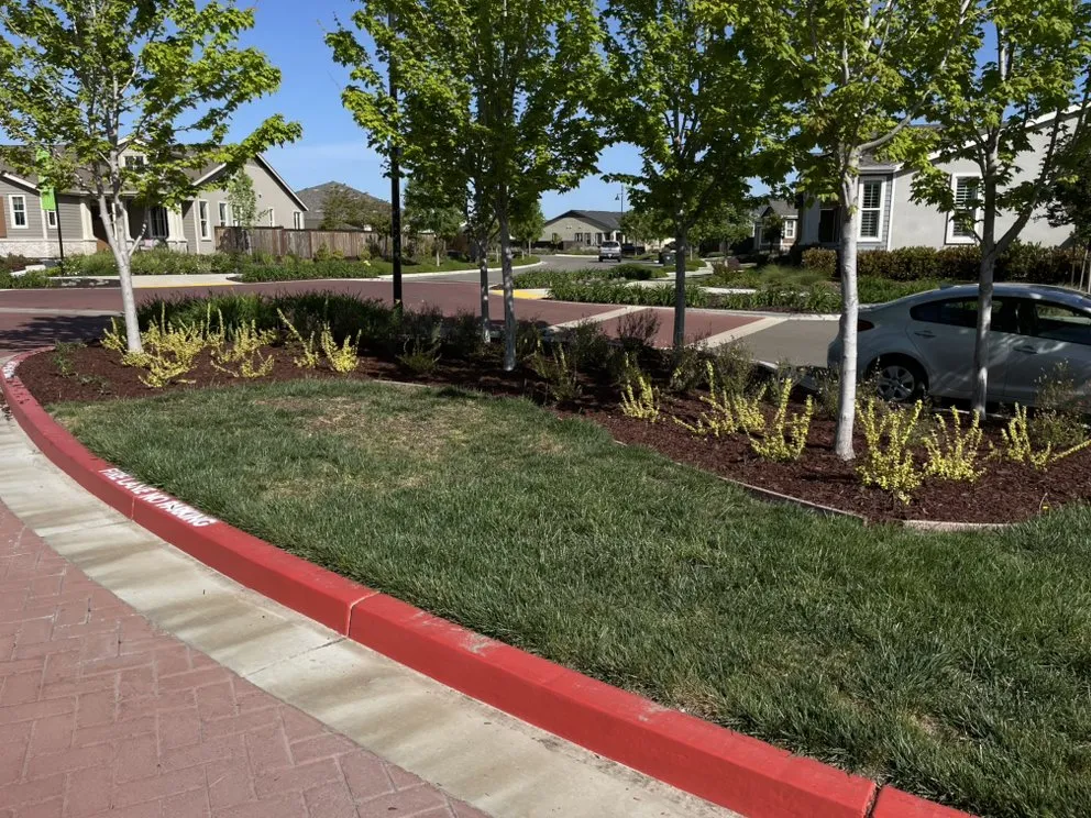 Local garden landscaping experts serving Campbell, CA - Rico Landscape