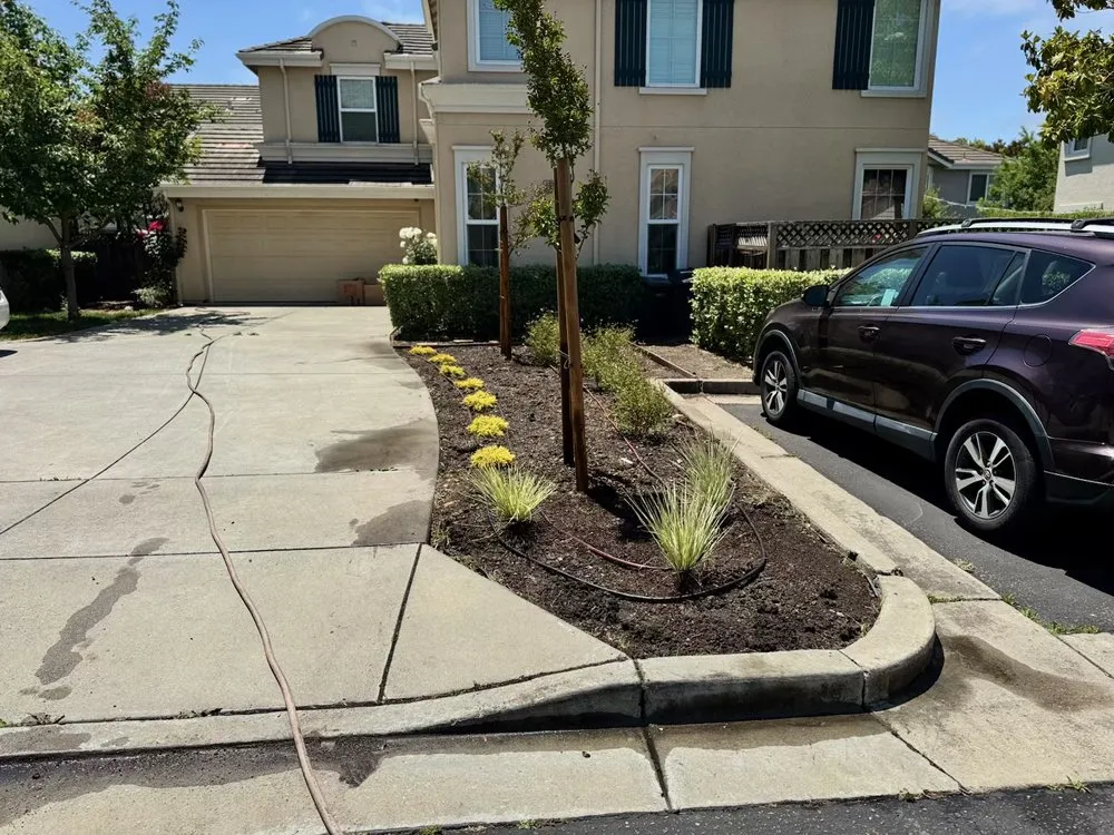 Trusted residential landscaping for year-round maintenance in Campbell, CA by Rico Landscape
