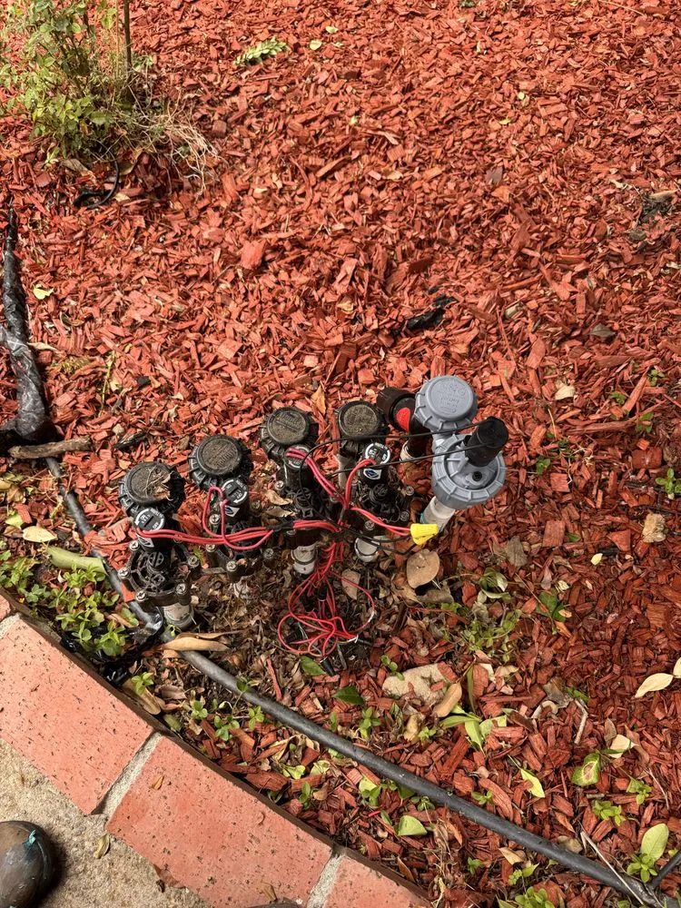 Expert lawn mowing service for year-round maintenance in Campbell, CA by Rico Landscape