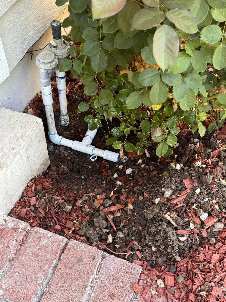 Expert yard maintenance with custom design in Campbell, CA by Rico Landscape