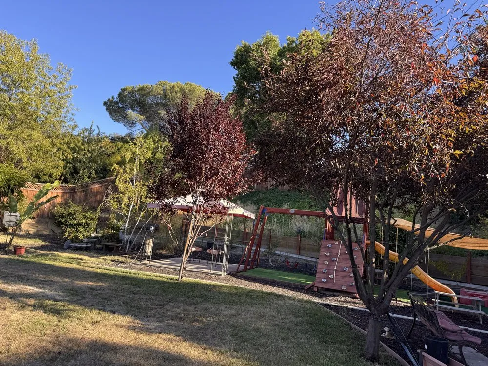 Trusted landscaping services with custom design across Campbell, CA - Rico Landscape