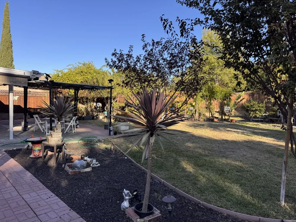 Trusted garden landscaping experts serving Campbell, CA - Rico Landscape