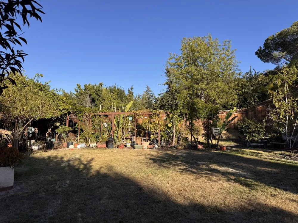 Top-rated outdoor landscaping for outdoor upgrades across Campbell, CA - Rico Landscape