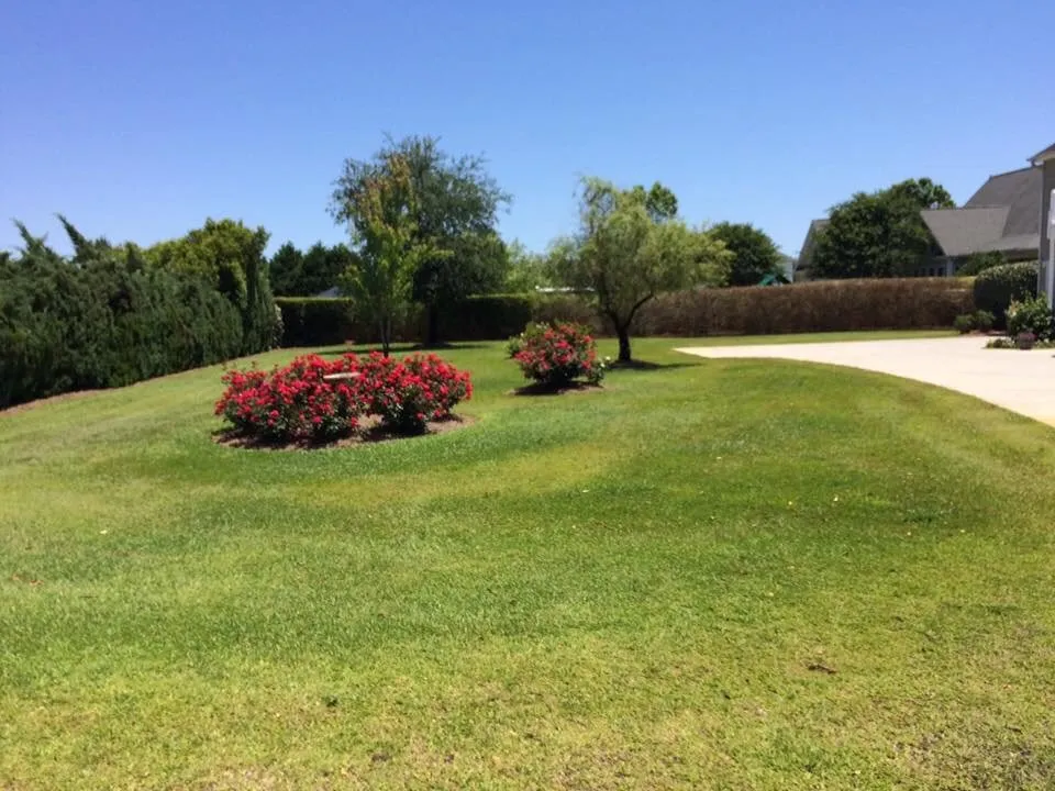 Local landscape installation in Wilmington, NC - Rico Landscaping and Maintenance