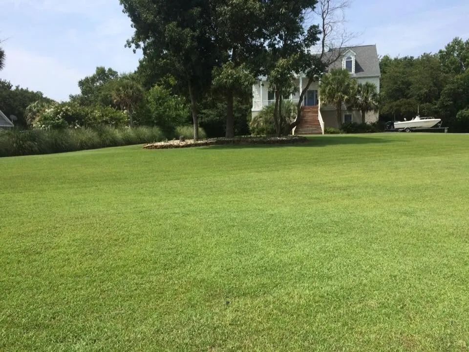 Top-rated yard maintenance in Wilmington, NC by Rico Landscaping and Maintenance