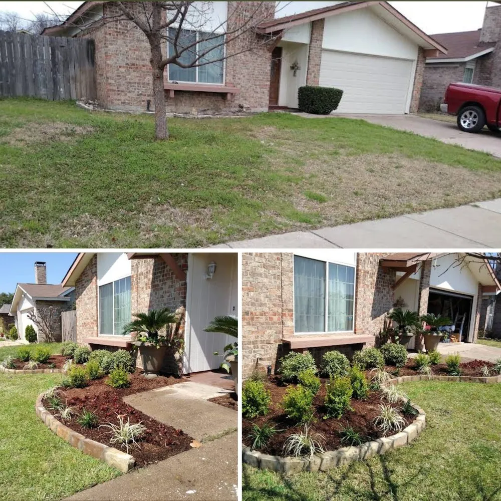 Expert yard maintenance in Red Oak, TX by Rico Landscaping DFW