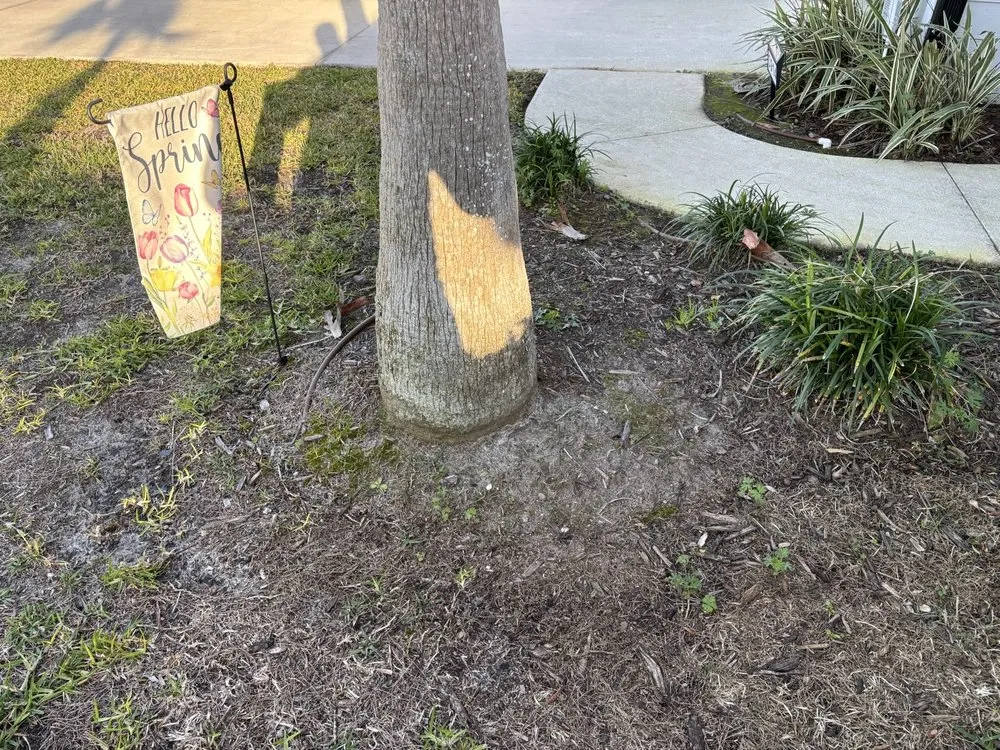 Professional landscaping services in Jacksonville, FL - Rico LawnScaping