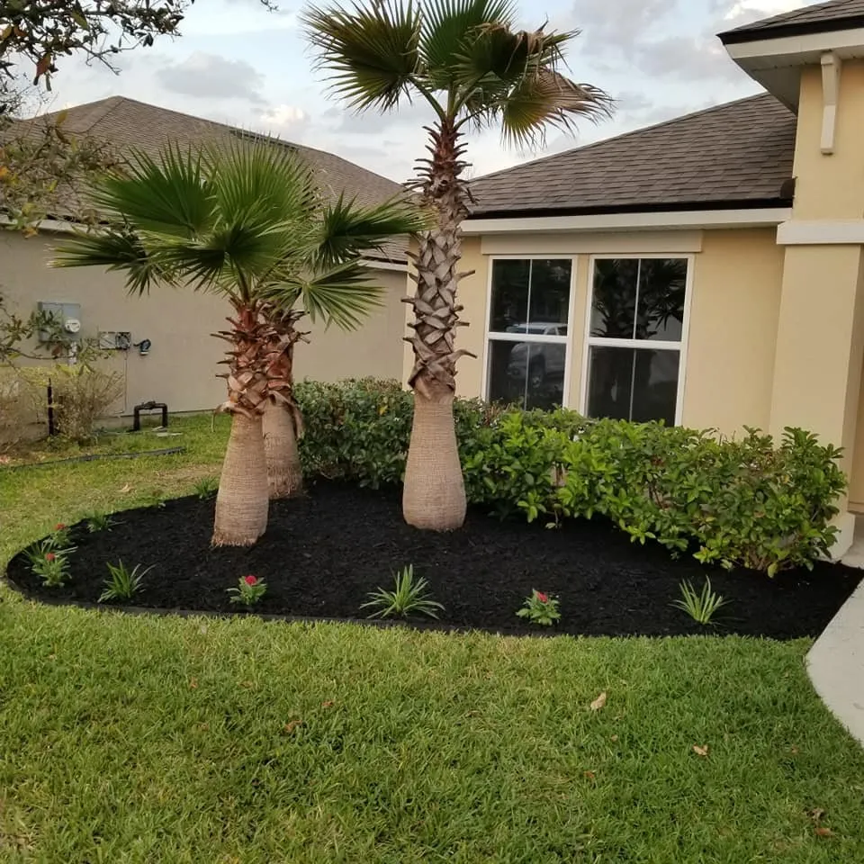 Reliable landscaping services in Jacksonville, FL by Rico LawnScaping