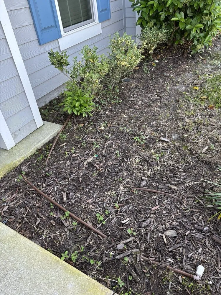 Reliable yard cleanup service experts serving Jacksonville, FL - Rico LawnScaping