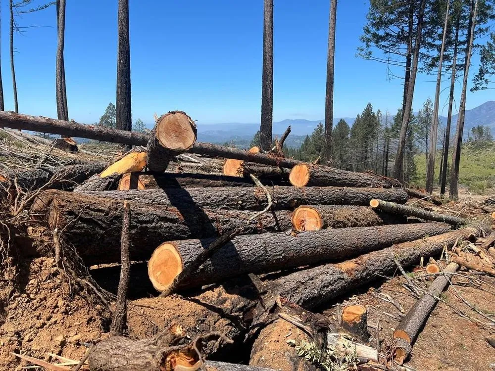 Custom landscaping services with custom design across Kelseyville, CA - Rico Tree Service