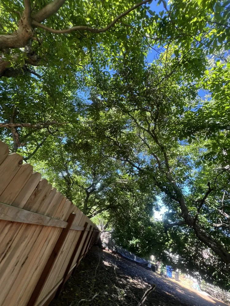 Top-rated garden landscaping for beautiful yards in Kelseyville, CA by Rico Tree Service