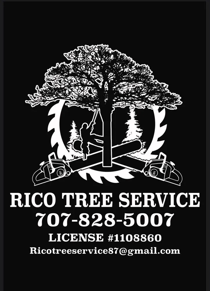Custom lawn mowing service for year-round maintenance in Kelseyville, CA by Rico Tree Service