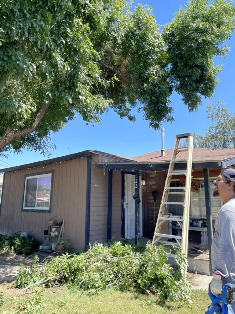 Top-rated yard maintenance in Lemoore, CA - Rico’s Grow and Mow