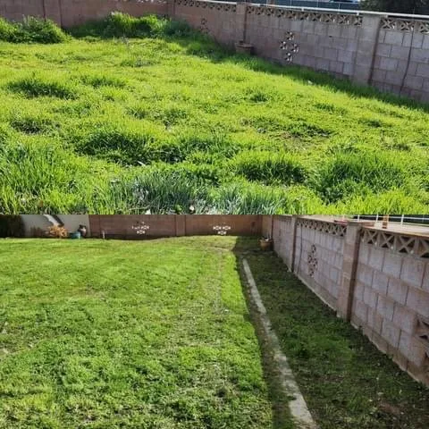 Custom lawn mowing service for residential properties across Lemoore, CA - Rico’s Grow and Mow