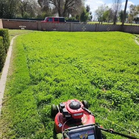 Affordable residential landscaping in Lemoore, CA by Rico’s Grow and Mow