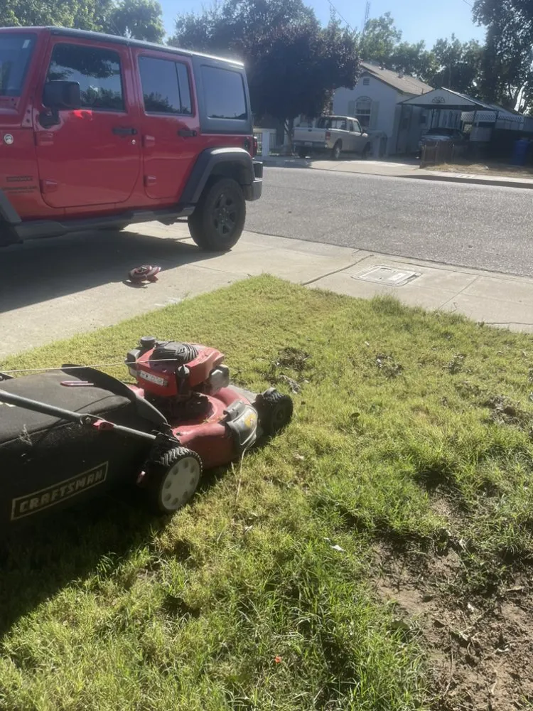 Affordable lawn care service experts serving Lemoore, CA - Rico’s Grow and Mow
