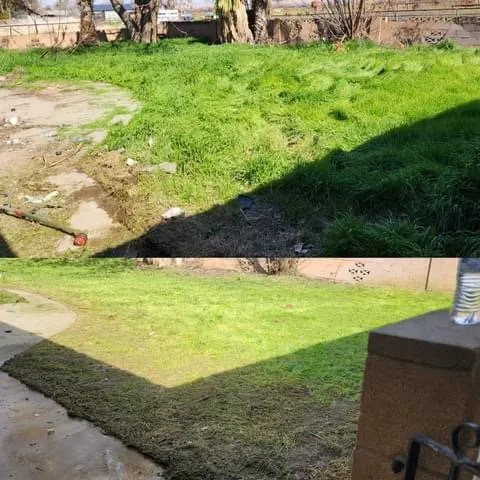 Professional lawn care service near you across Lemoore, CA - Rico’s Grow and Mow