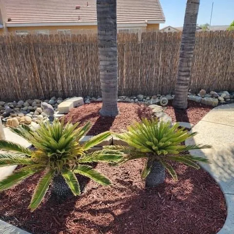 Expert landscape installation experts serving Lemoore, CA - Rico’s Grow and Mow