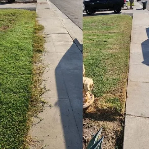 Expert landscape installation for outdoor upgrades across Lemoore, CA - Rico’s Grow and Mow