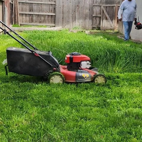 Local landscape design in Lemoore, CA - Rico’s Grow and Mow
