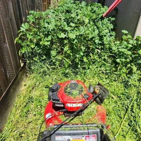 Professional landscape installation in Lemoore, CA - Rico’s Grow and Mow