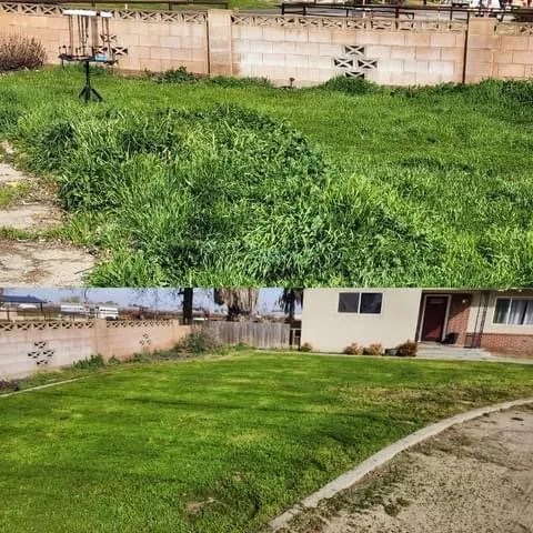 Custom landscape installation near you across Lemoore, CA - Rico’s Grow and Mow