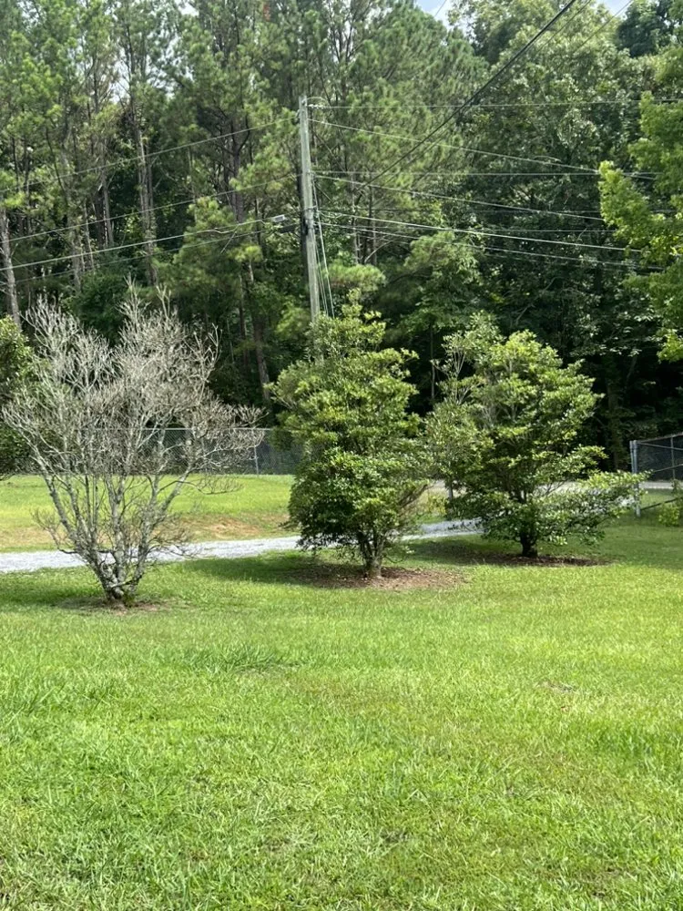 Trusted landscape design in Dalton, GA - Rico's Landscaping & Removal