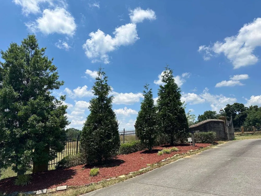 Custom outdoor landscaping in Dalton, GA by Rico's Landscaping & Removal