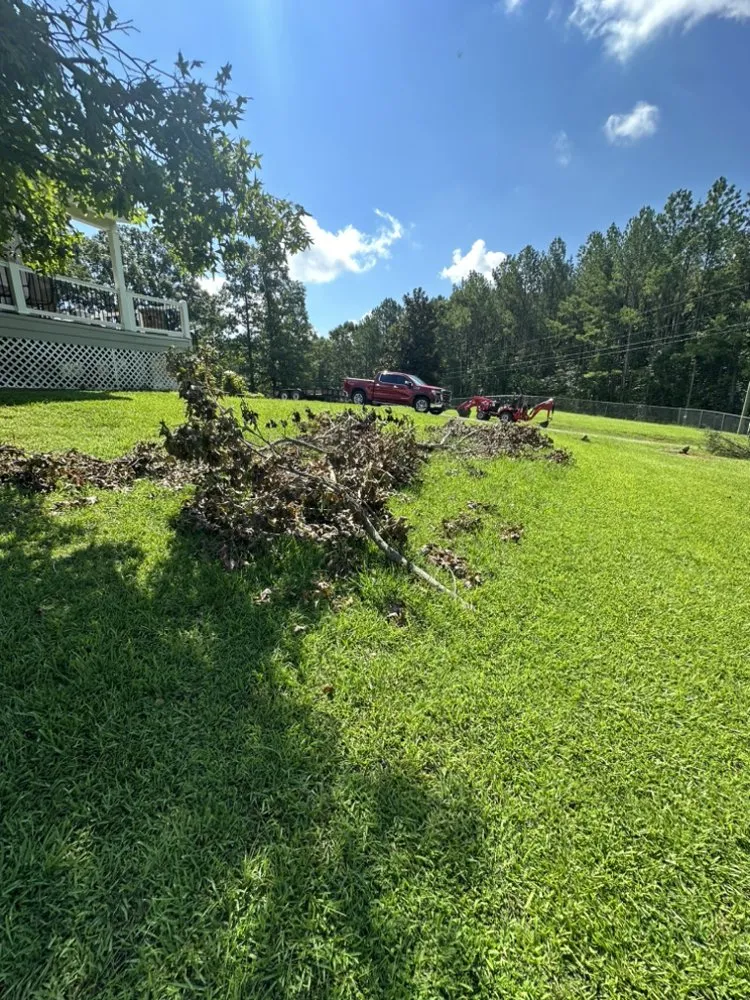 Custom yard maintenance for homes across Dalton, GA - Rico's Landscaping & Removal