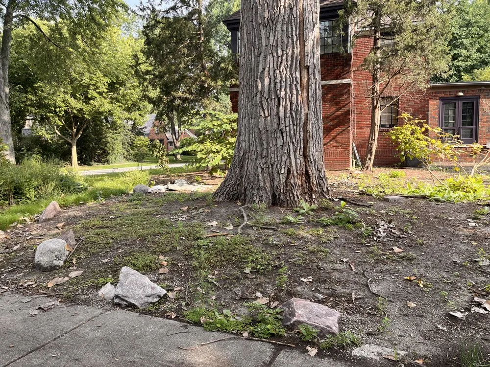 Custom yard cleanup service experts serving Detroit, MI - Rico’s Landscaping