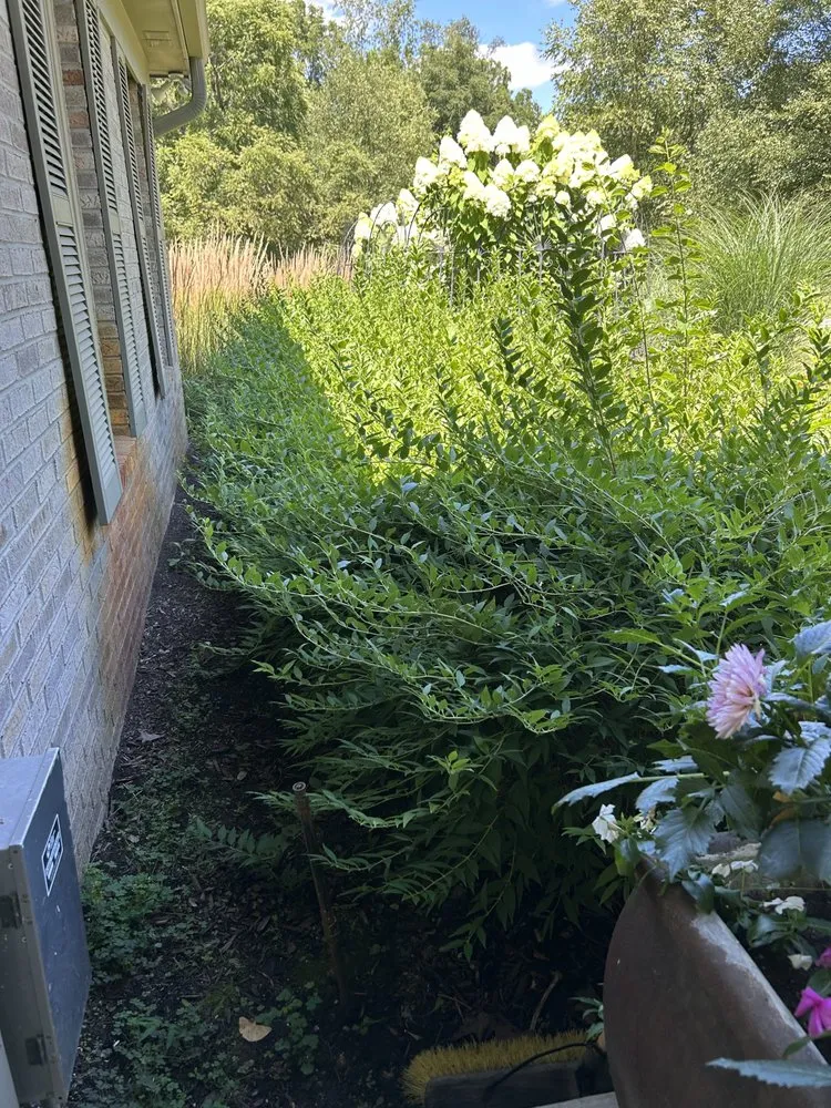 Custom landscaping services in Detroit, MI - Rico’s Landscaping