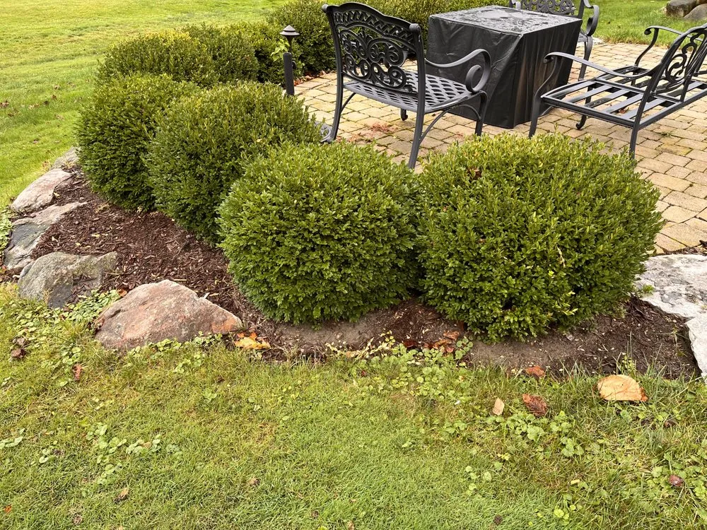 Expert landscaping services in Detroit, MI by Rico’s Landscaping
