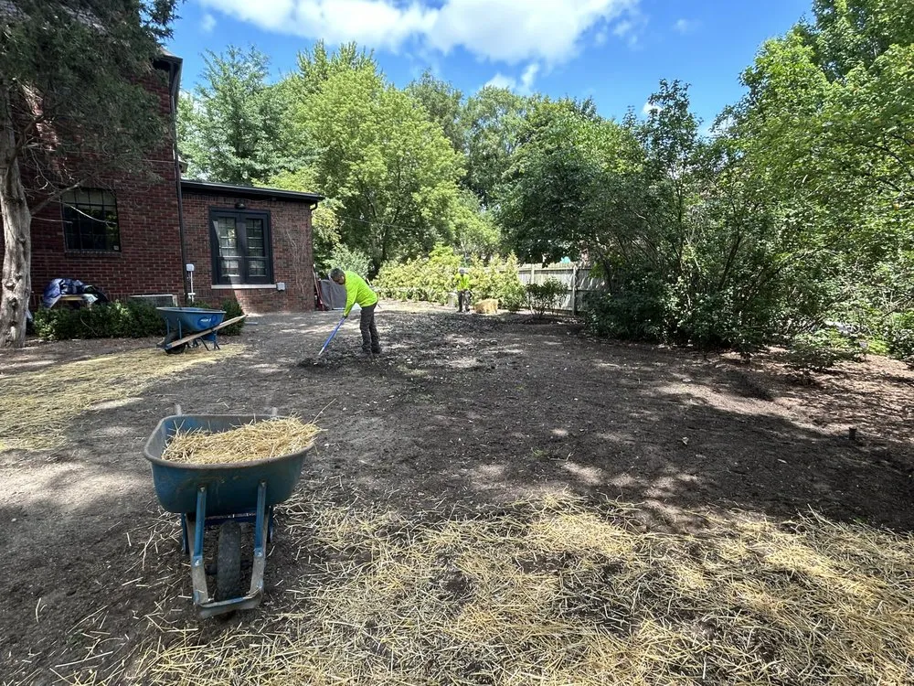 Trusted lawn care service in Detroit, MI - Rico’s Landscaping