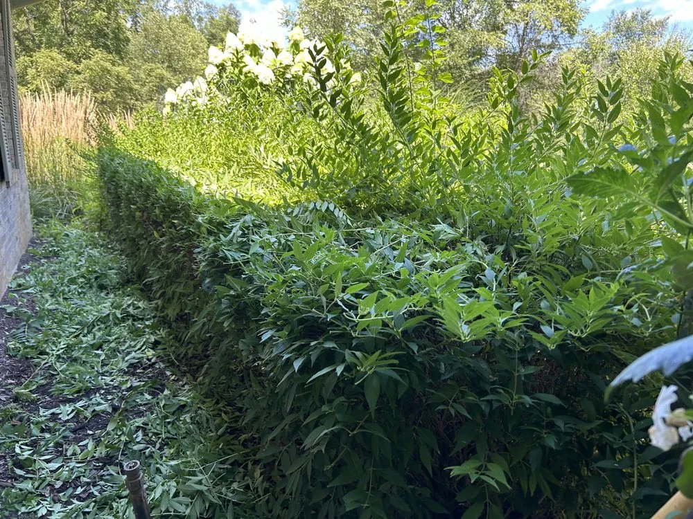 Reliable garden landscaping experts serving Detroit, MI - Rico’s Landscaping