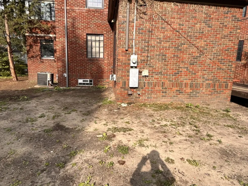 Local yard cleanup service experts serving Detroit, MI - Rico’s Landscaping