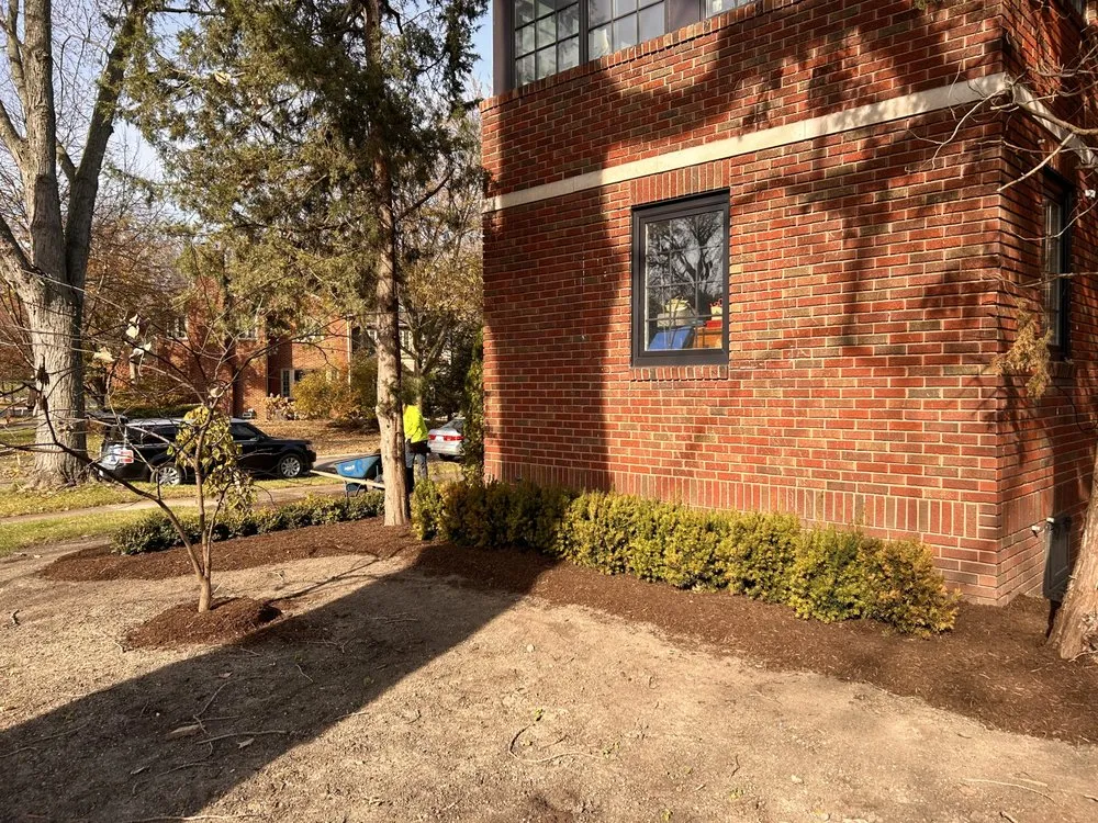 Affordable yard cleanup service in Detroit, MI - Rico’s Landscaping