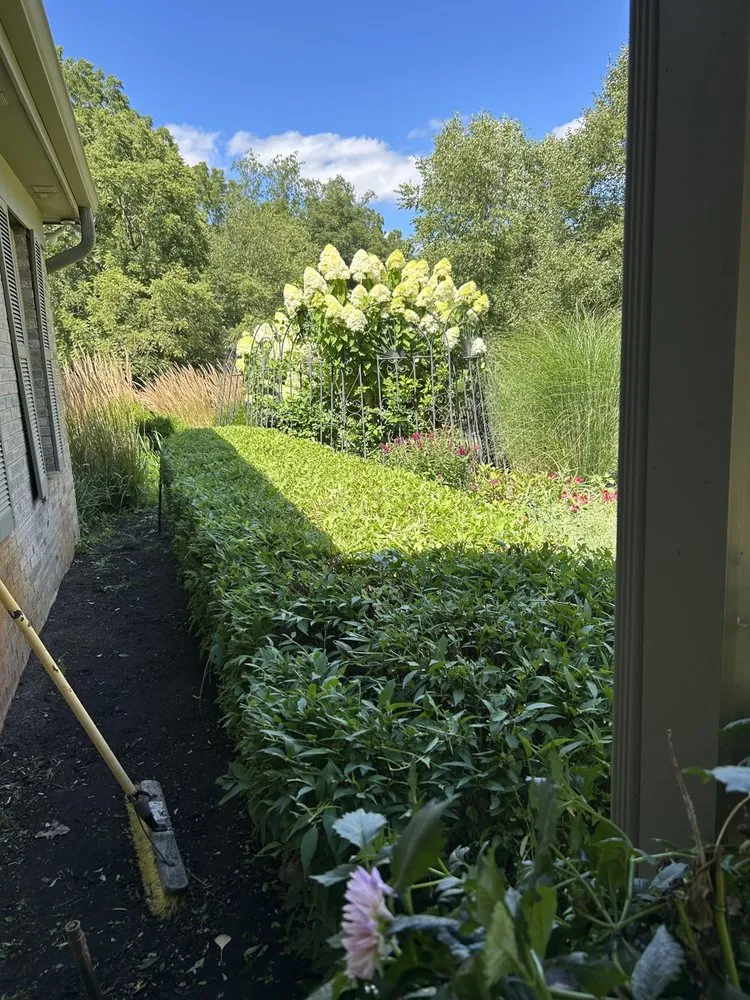 Top-rated lawn care service in Detroit, MI by Rico’s Landscaping