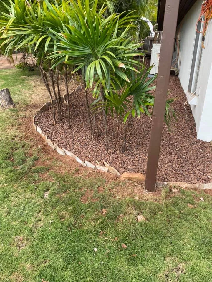Trusted yard maintenance in Lahaina, HI - Rico's Landscaping