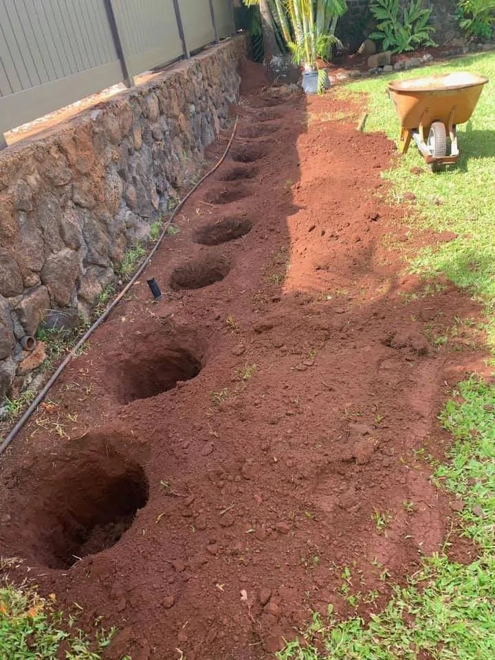 Expert yard cleanup service for year-round maintenance across Lahaina, HI - Rico's Landscaping