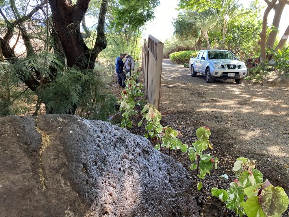 Top-rated landscape design experts serving Lahaina, HI - Rico's Landscaping