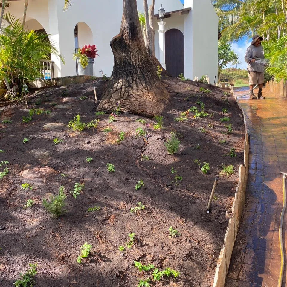 Professional yard cleanup service in Lahaina, HI - Rico's Landscaping