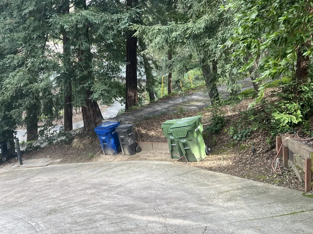 Expert landscaping services in Redwood City, CA by Rico’s landscaping