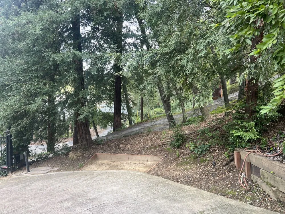 Reliable yard maintenance in Redwood City, CA by Rico’s landscaping