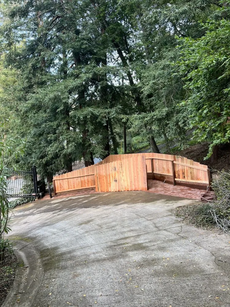 Expert yard maintenance in Redwood City, CA - Rico’s landscaping
